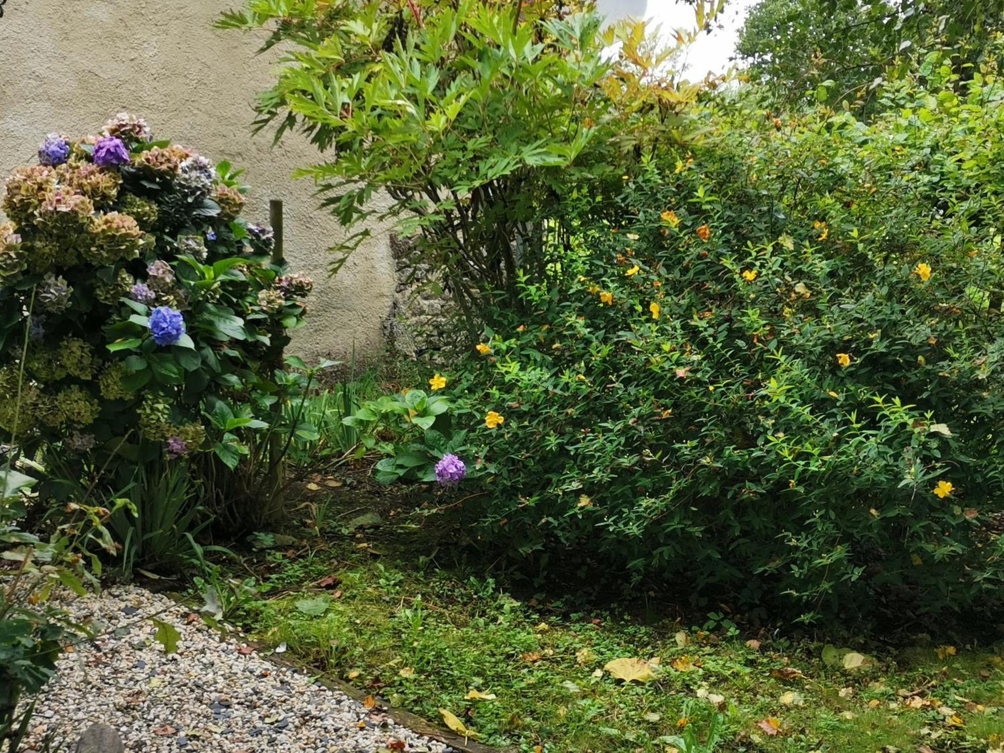 Les Brassins Du Dillon Villa Moyon Bagian luar foto