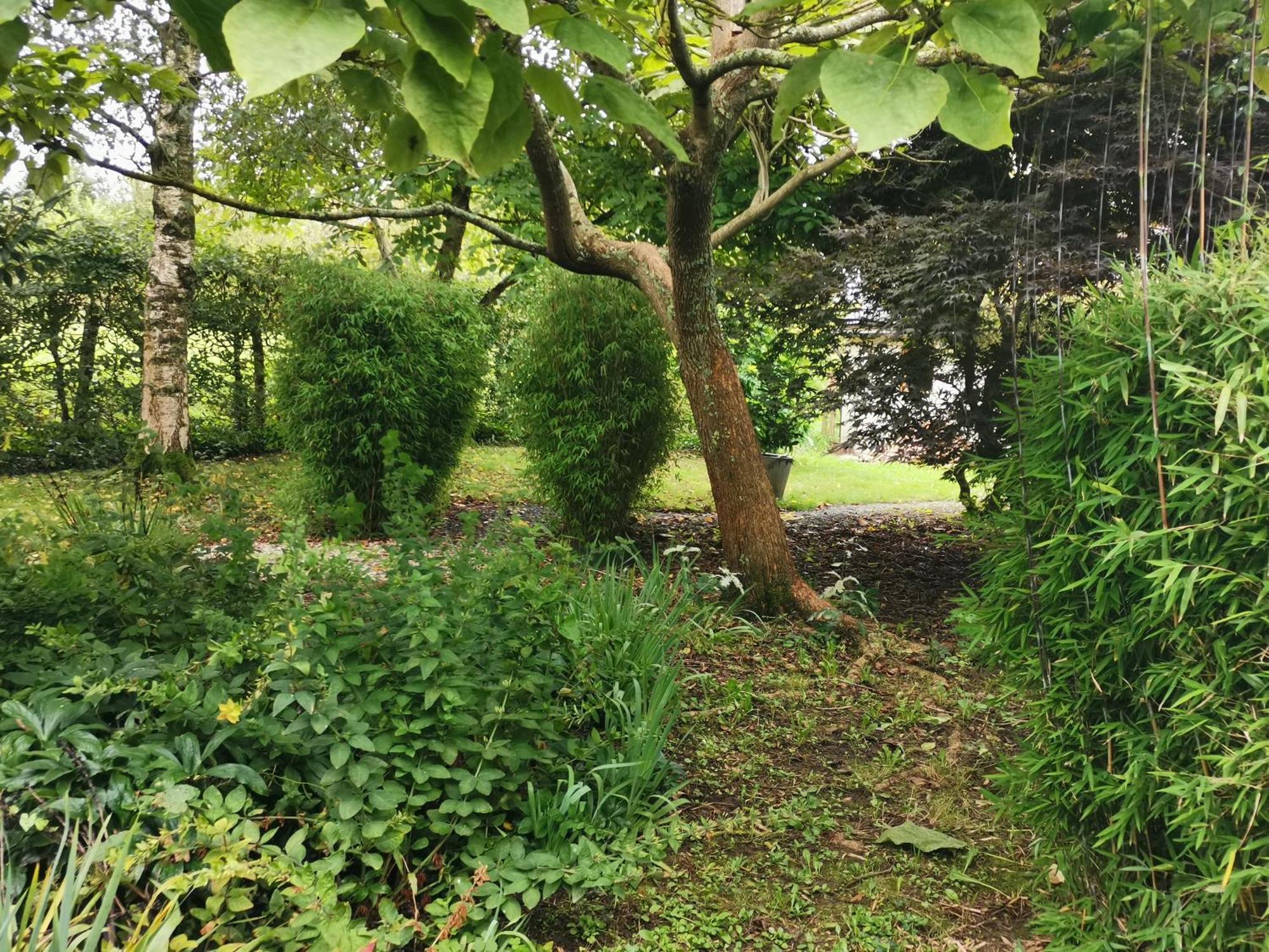 Les Brassins Du Dillon Villa Moyon Bagian luar foto
